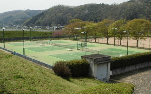 南光町スポーツ公園 (若あゆランド)画像