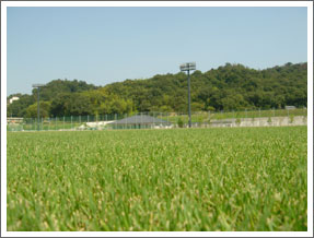 鉢伏ふれあい公園画像