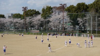 八幡市立八幡市民スポーツ公園画像