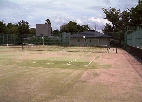 長岡公園テニスコート画像