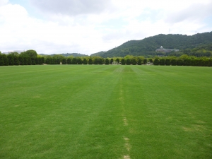 水島緑地福田公園画像