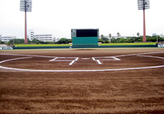 大洲総合運動公園画像