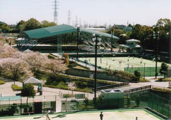 花川運動公園画像