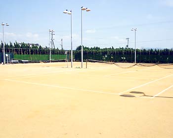 阪田テニスコート画像