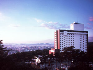 岡山国際ホテル画像