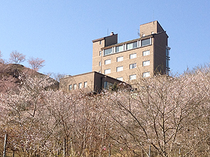 森と水のホテル　上郡ピュアランド山の里画像